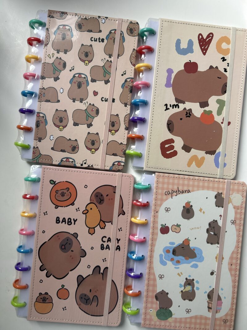 Caderno disco capivara A5