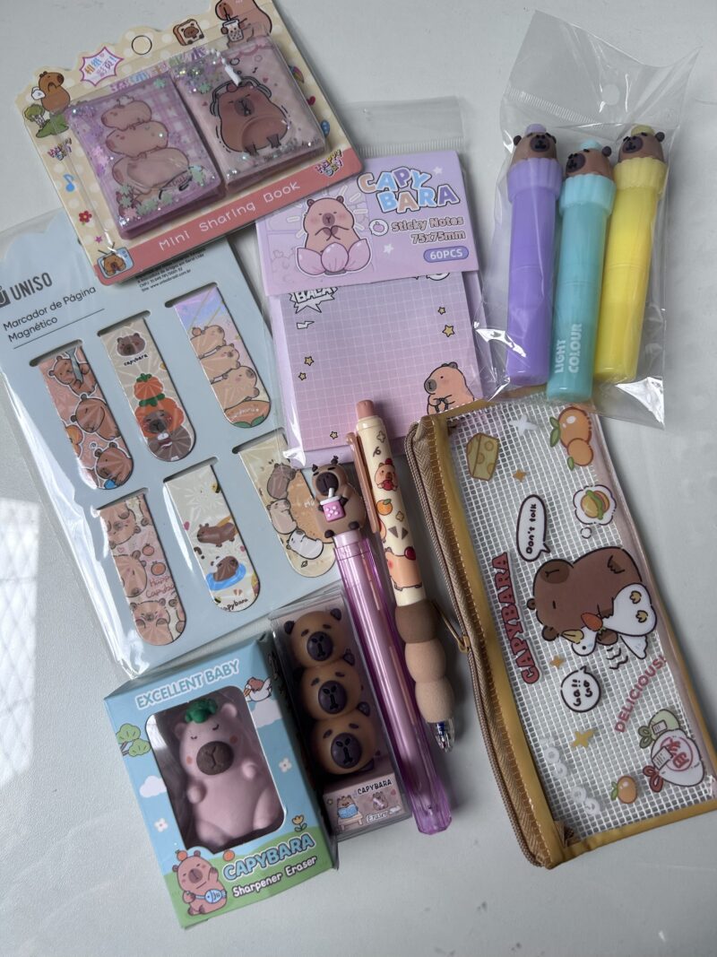 Buquê papelaria capivara (12 itens) - Imagem 3