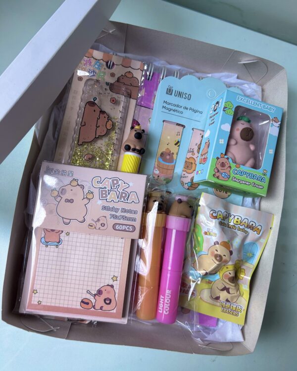 Box Capivara (9 itens)