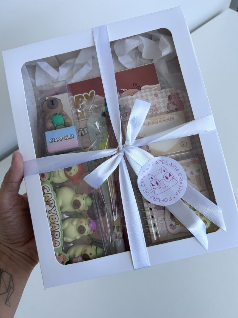Box Capivara (8 itens) - Imagem 3