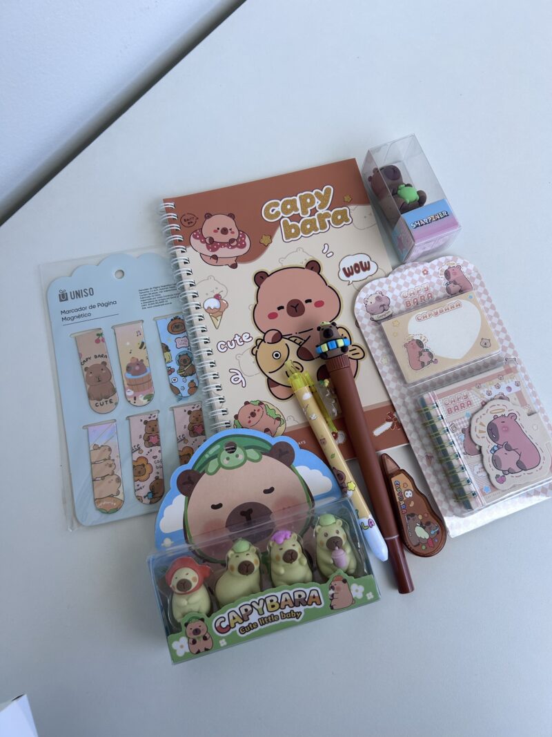 Box Capivara (8 itens) - Imagem 2