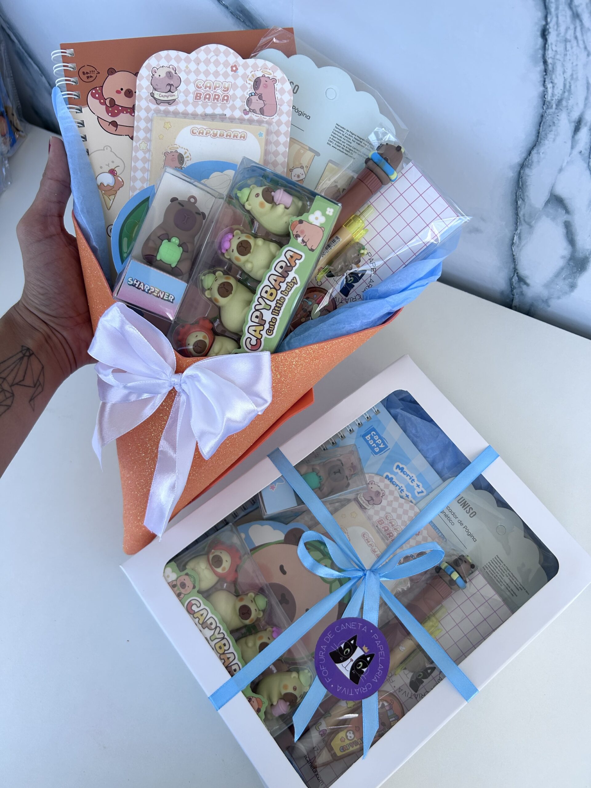 Box Capivara (8 itens)