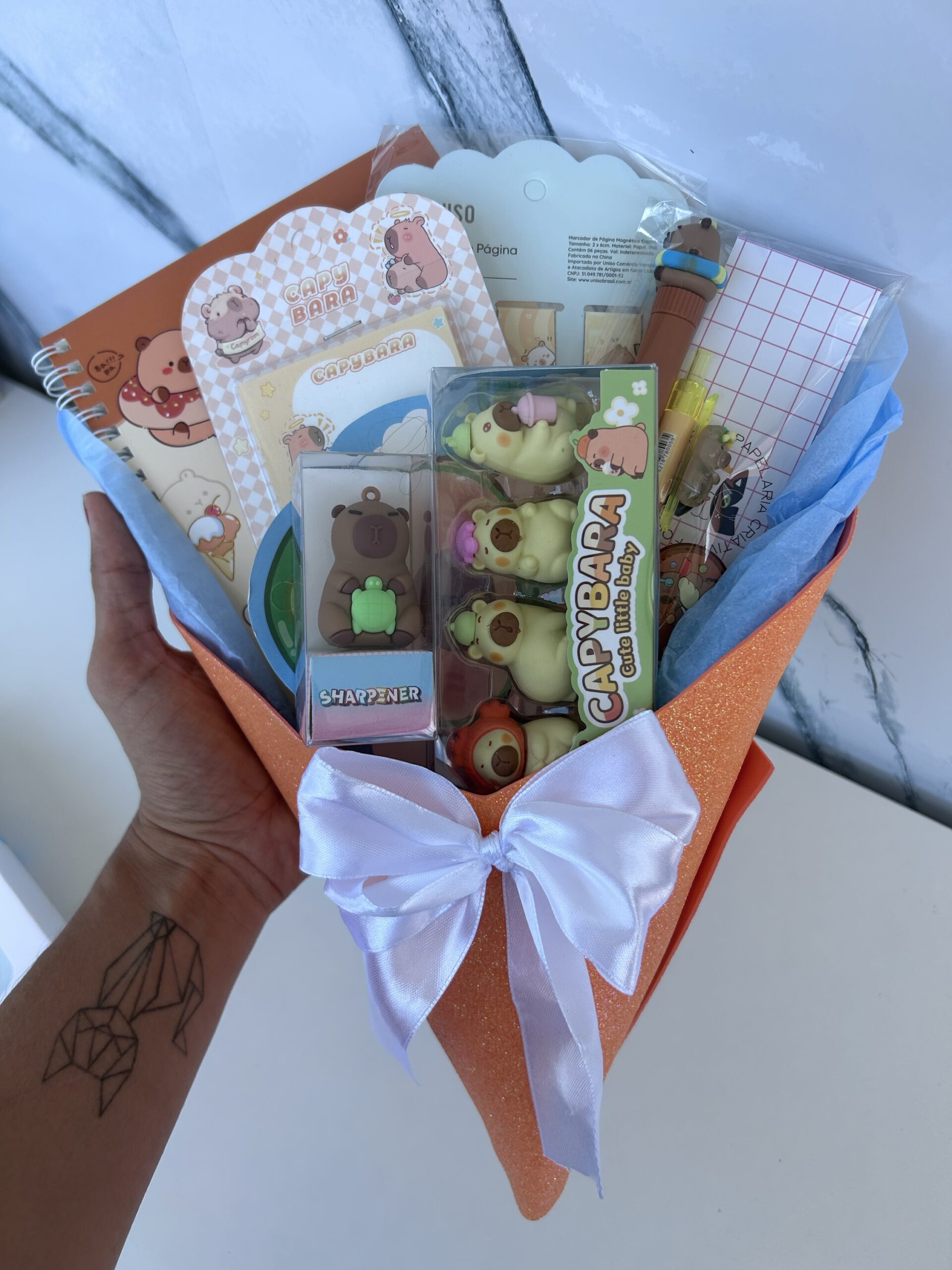 Box Capivara (8 itens) - Imagem 4