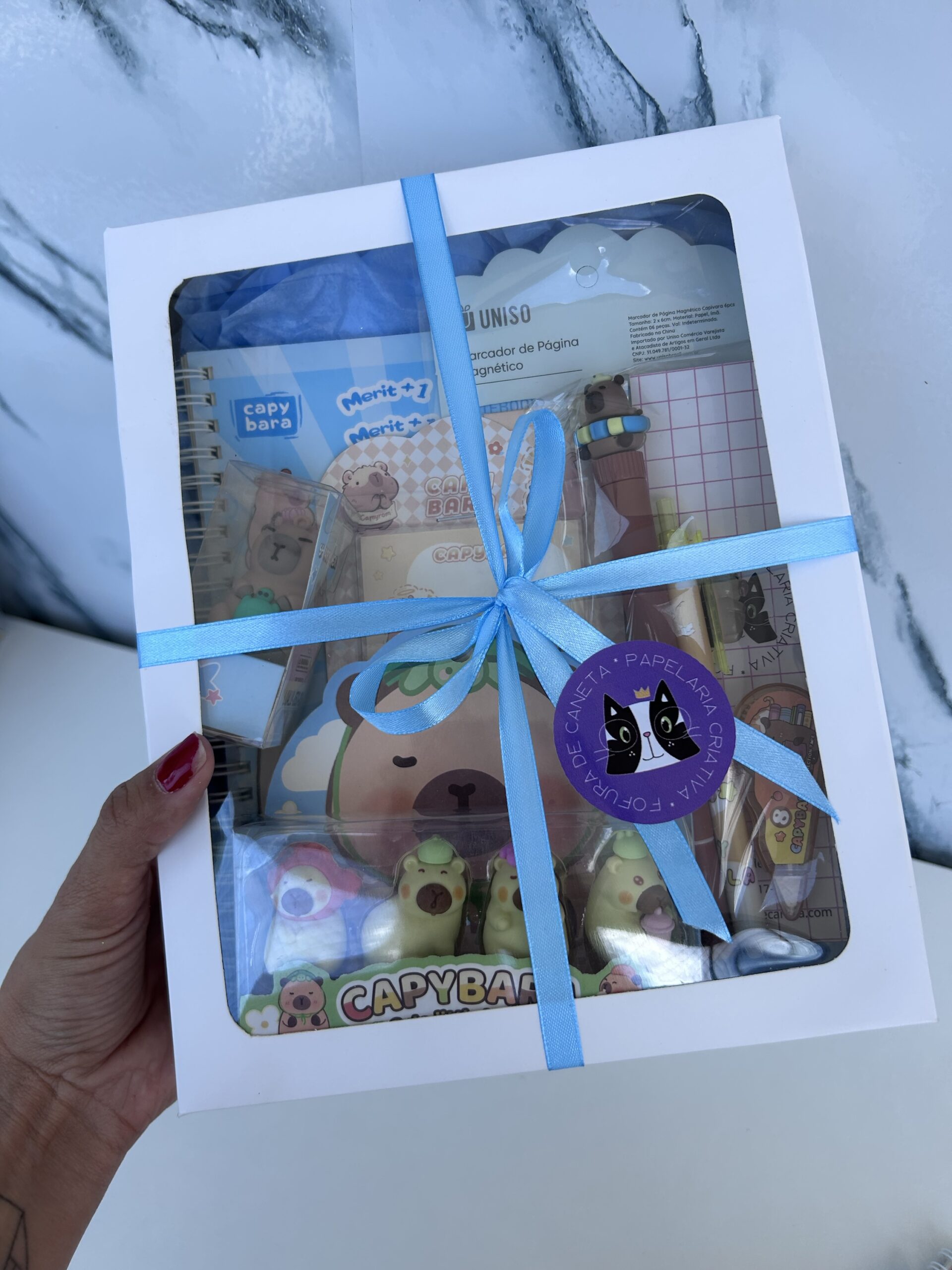 Box Capivara (8 itens) - Imagem 3