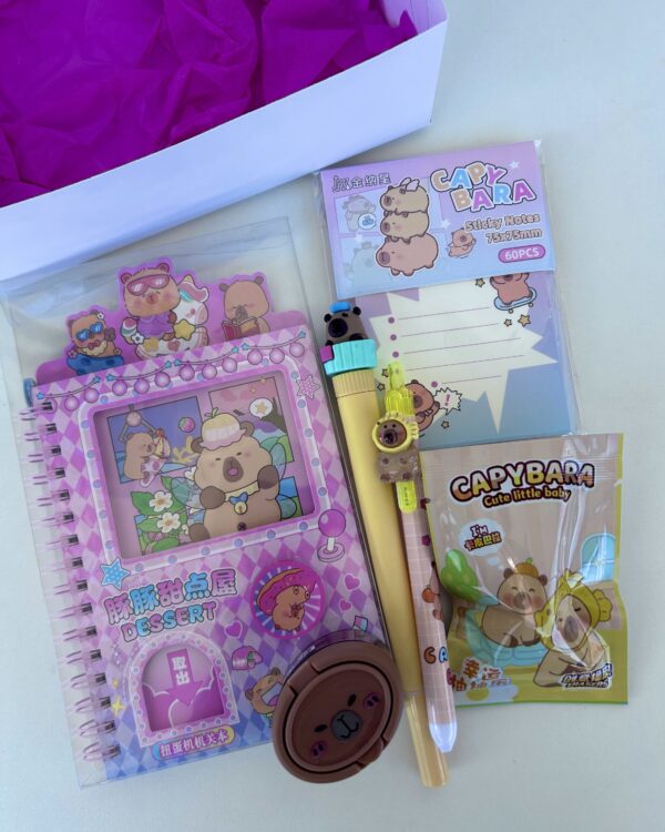 Mini box capivara
