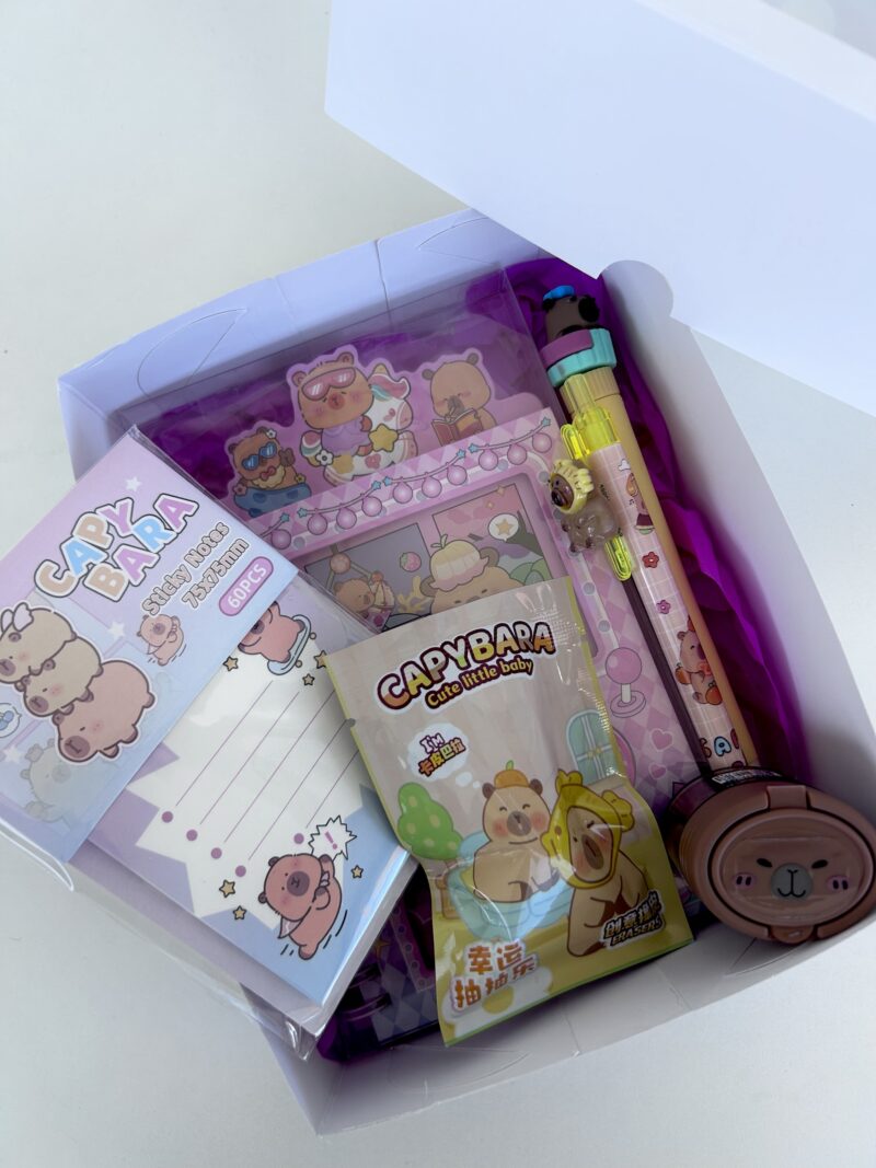 Mini box capivara - Imagem 3