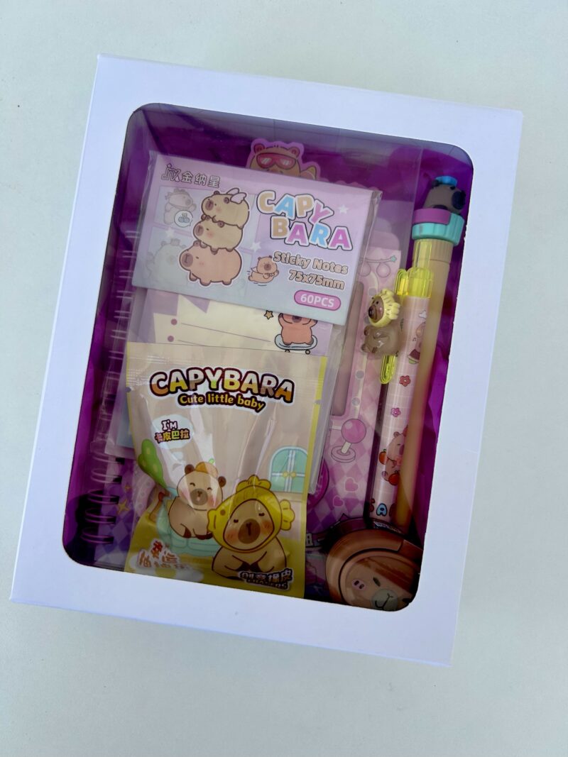 Mini box capivara - Imagem 4