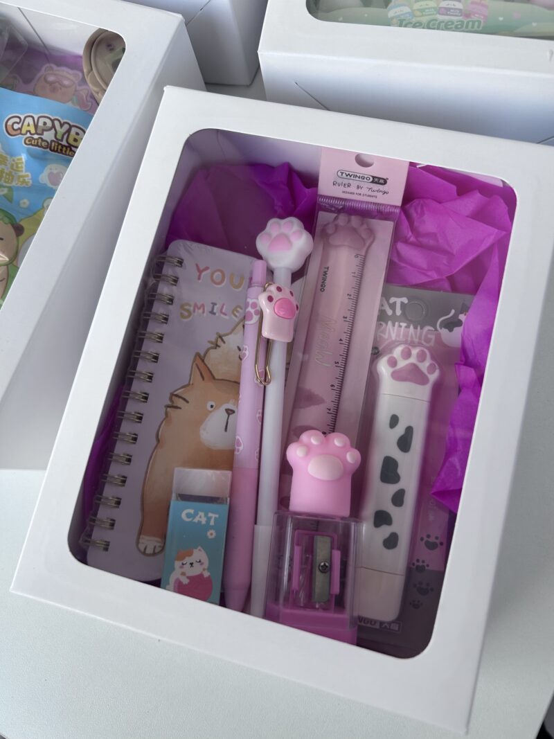 Mini box patinha - Imagem 2