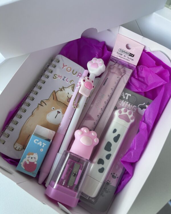 Mini box patinha