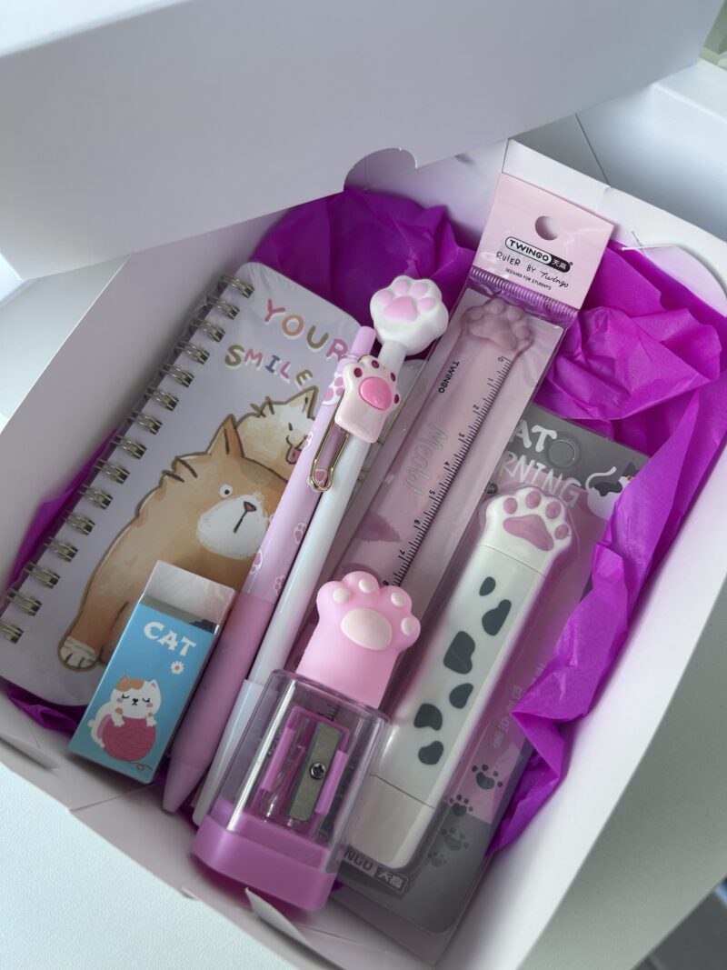 Mini box patinha