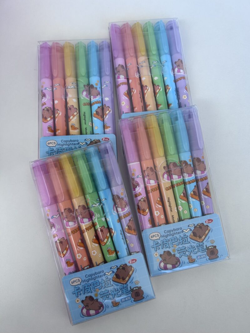 Kit marca texto capivara 6 cores