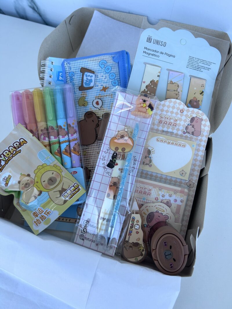 Box capivara premium - Imagem 2