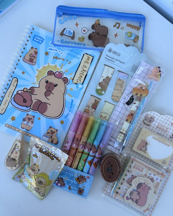 Box capivara premium