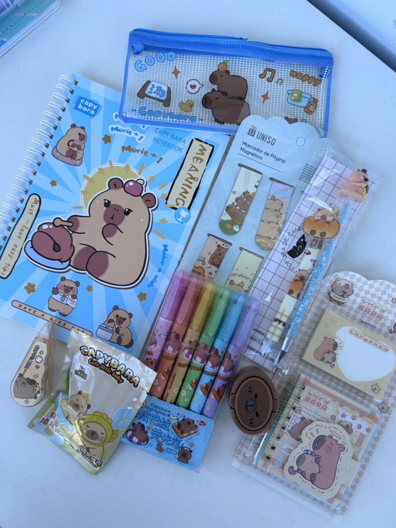 Box capivara premium