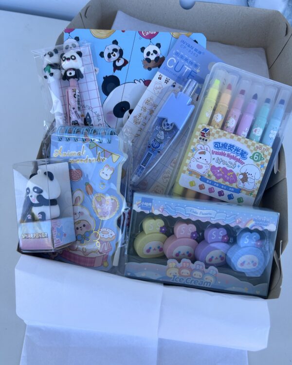 Box color azul panda/coelho (9 itens)