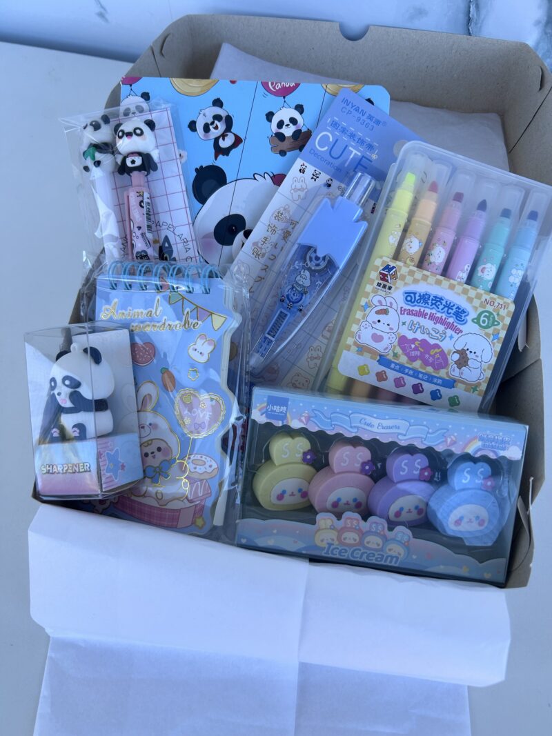 Box color azul panda/coelho (9 itens)
