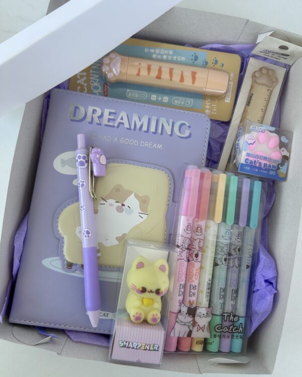 Box dream led gatinho