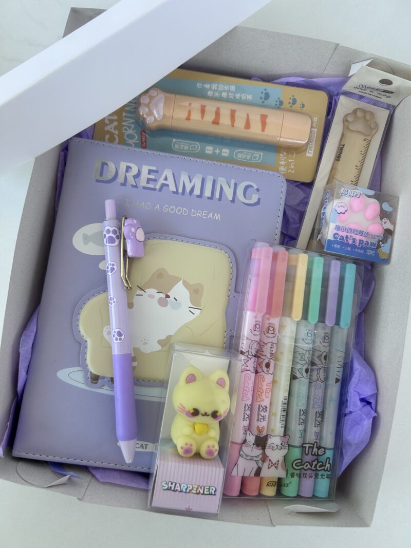 Box dream led gatinho