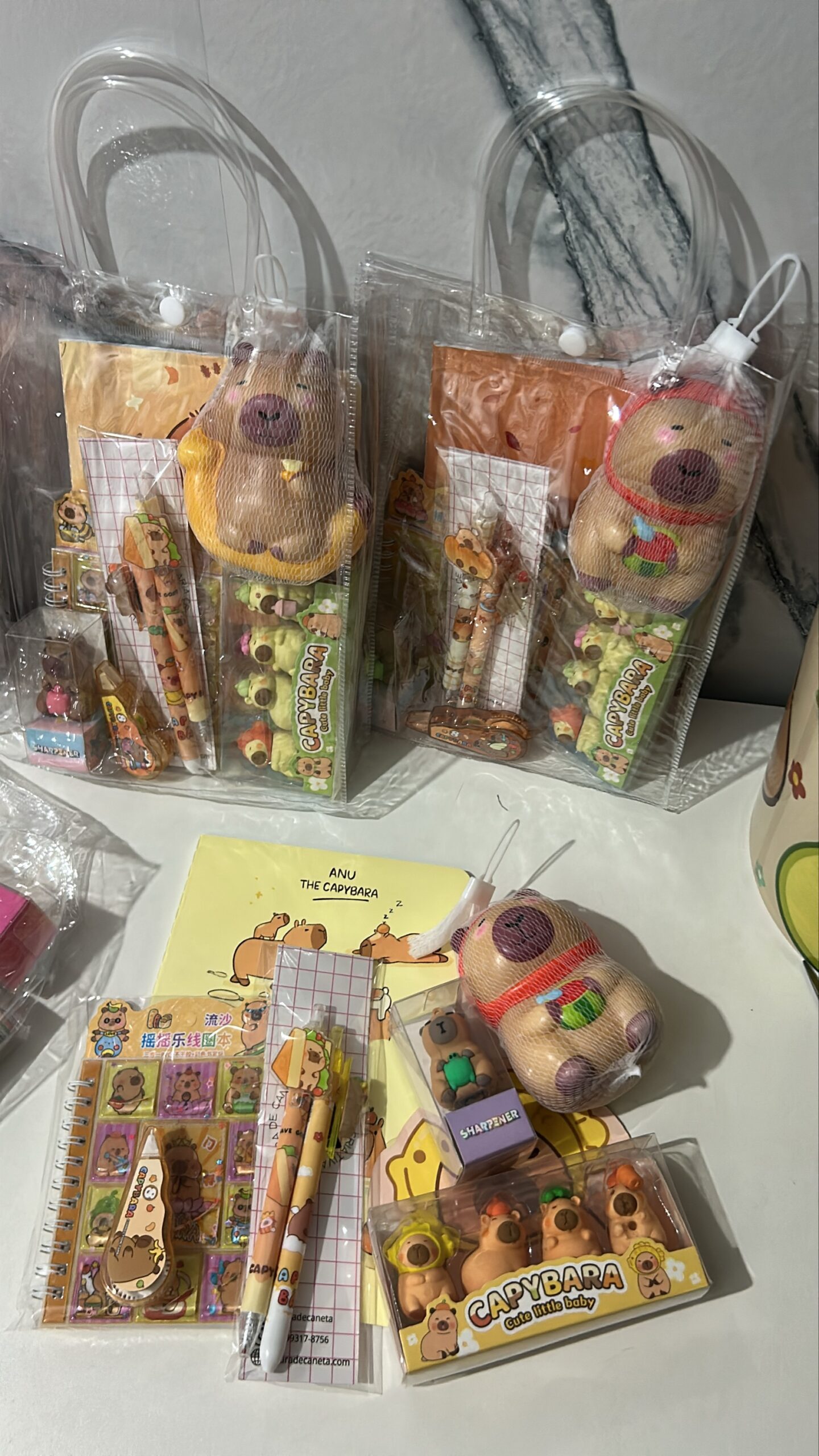 Sacolinha capivara novidades