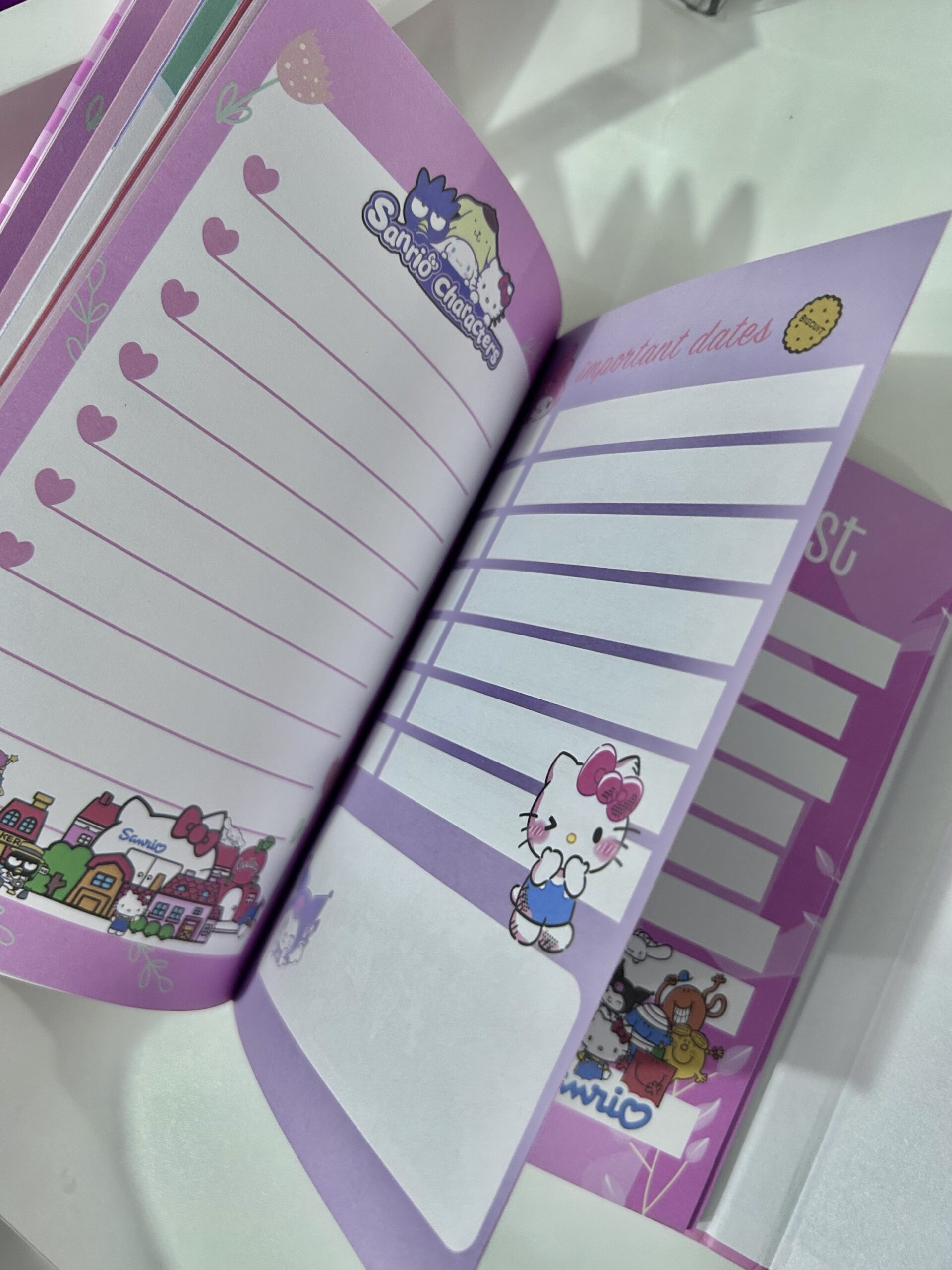 Box my Melody - Imagem 2