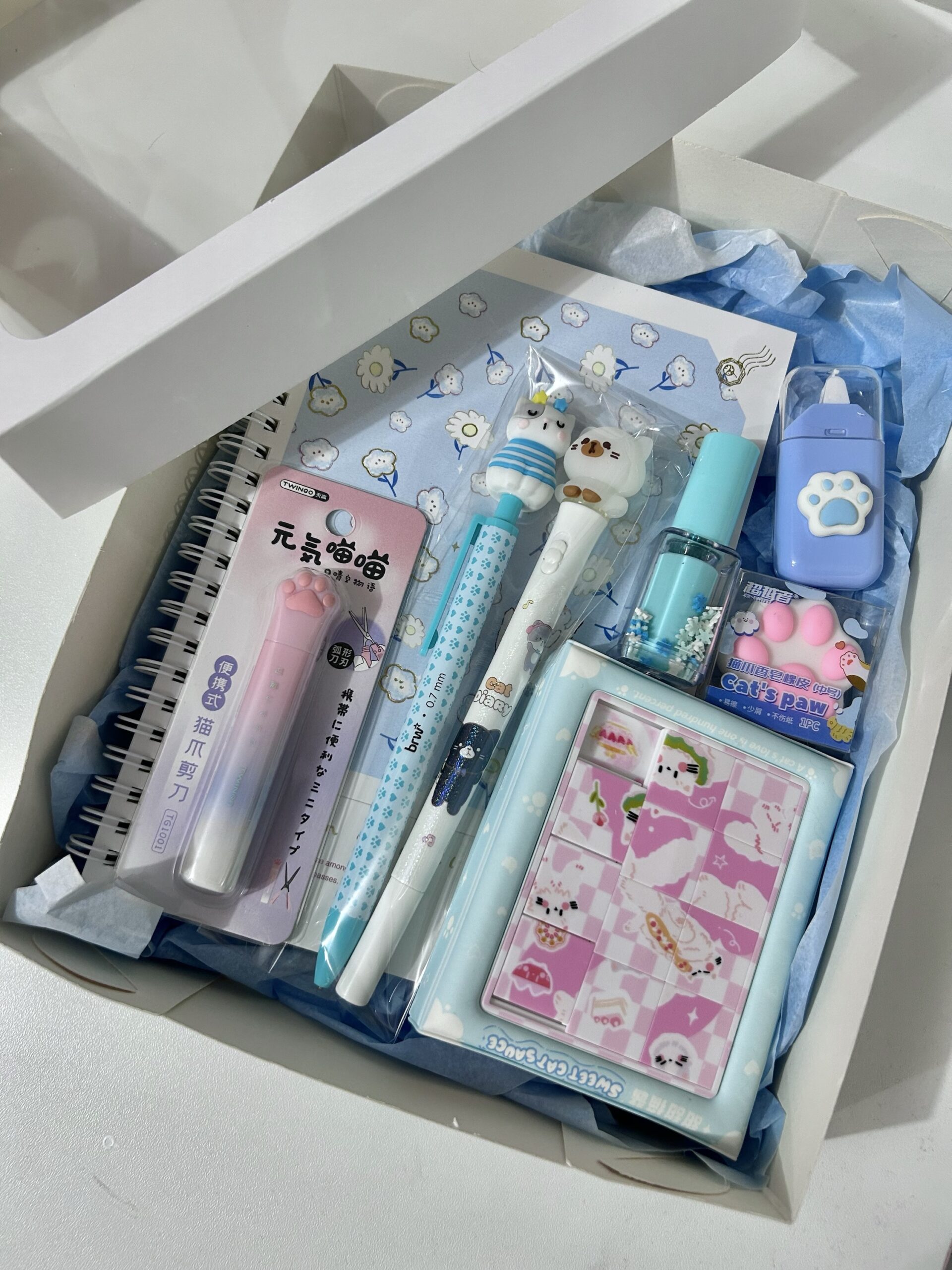 Box Color azul (8 itens)