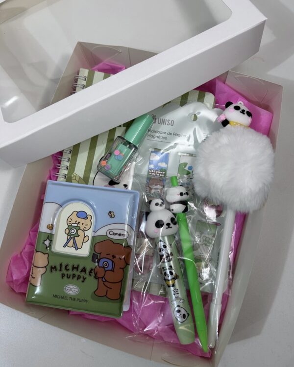 Box pandinha premium