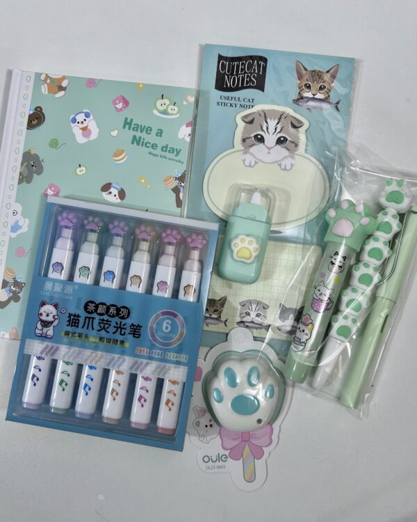 Box Patinha verde água (8 tens)