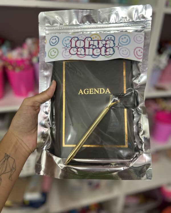 *DUPLA AGENDA PERMANENTE + CANETA LUXO
