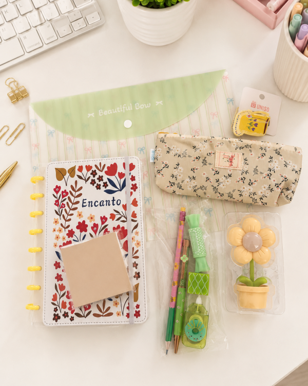 Sacola premium encanto organize